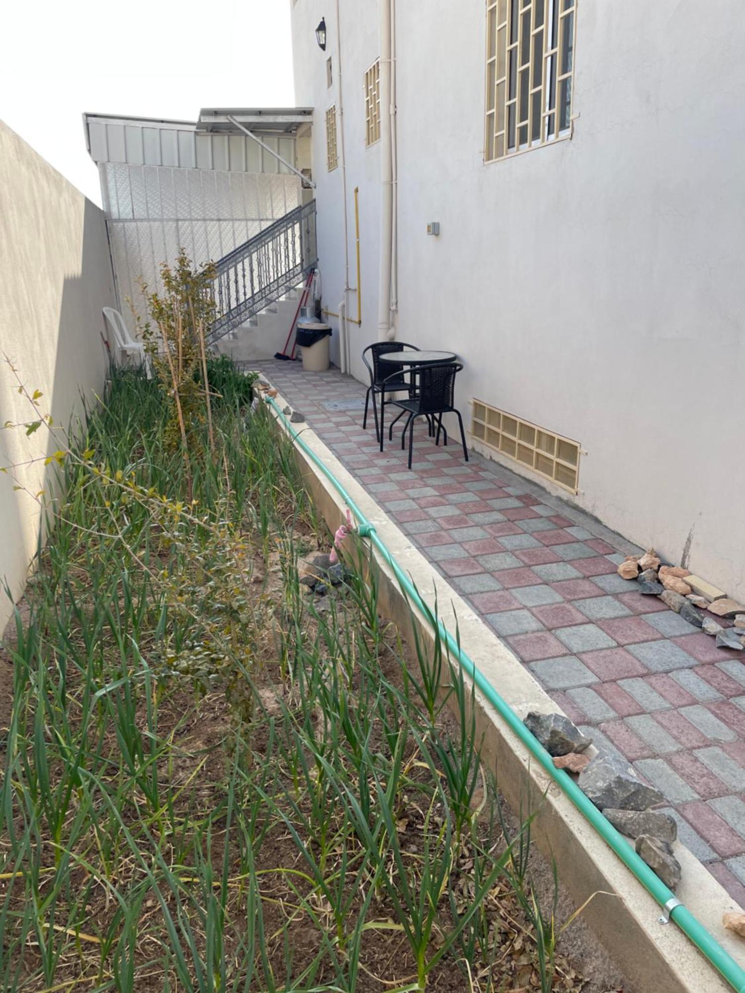 Apartment In Bayt Al Jabal شقة في بيت الجبل Sayq 외부 사진